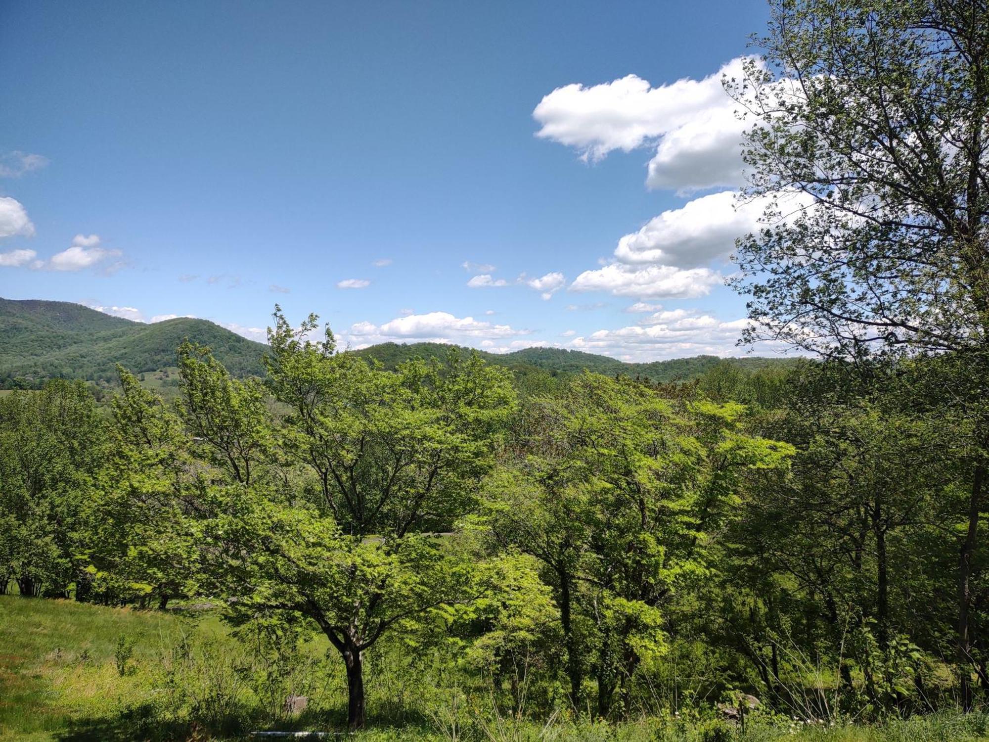 Graves Mountain Farm & Lodges Syria 外观 照片
